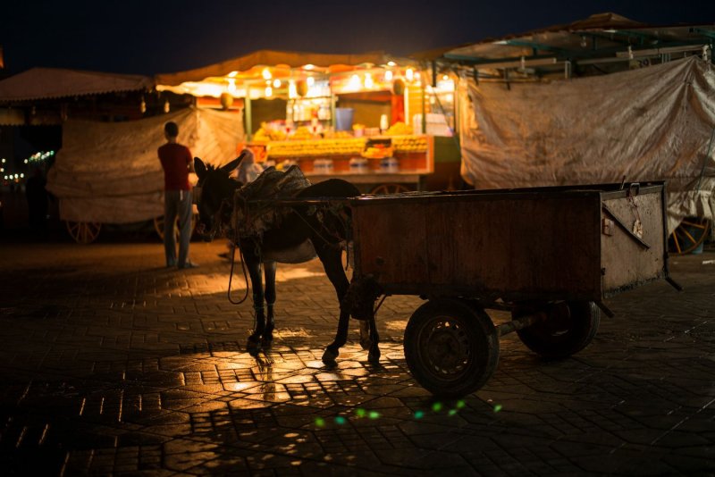 Marrakech, dusk