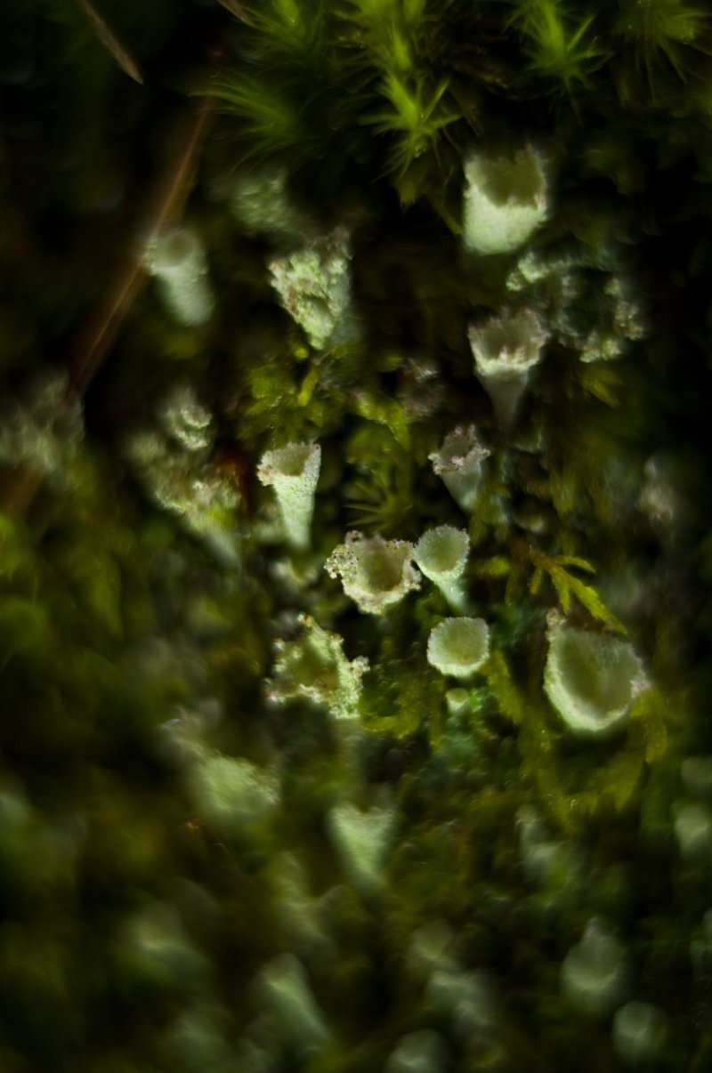 Silent quarries